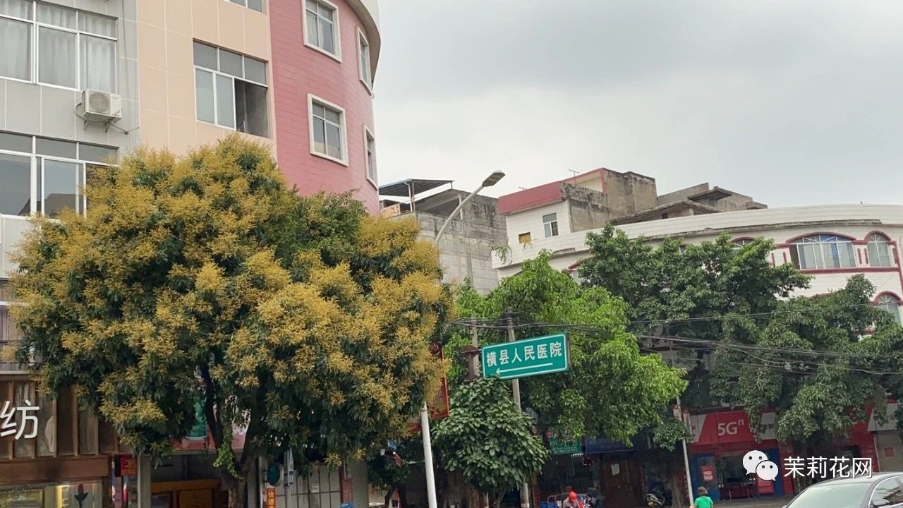 微信图片_20210402173832.jpg