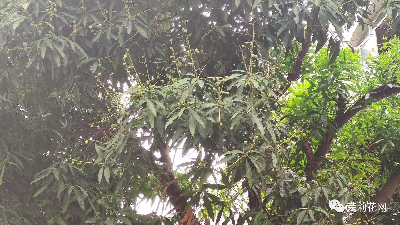 微信图片_20210402173841.jpg