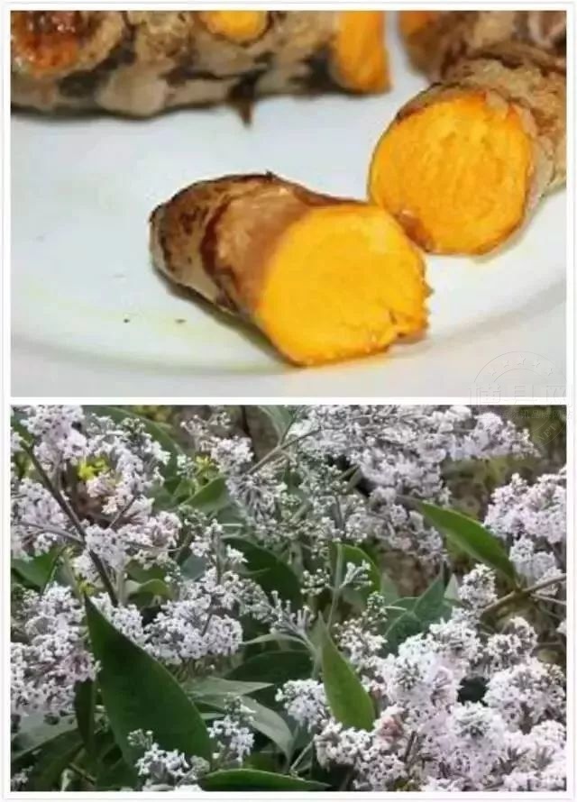 微信图片_20210405084620.jpg