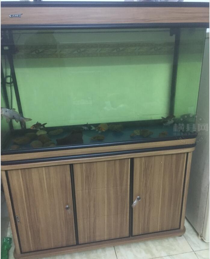 QQ截图20210309172808.jpg