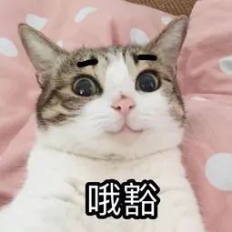 微信图片_20210407084915.jpg