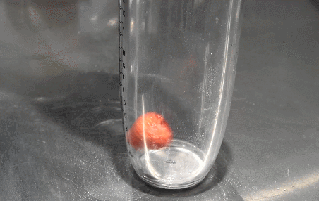 084418r2e5vpd3ebp2iey3.gif