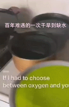 锅碗瓢盆.gif