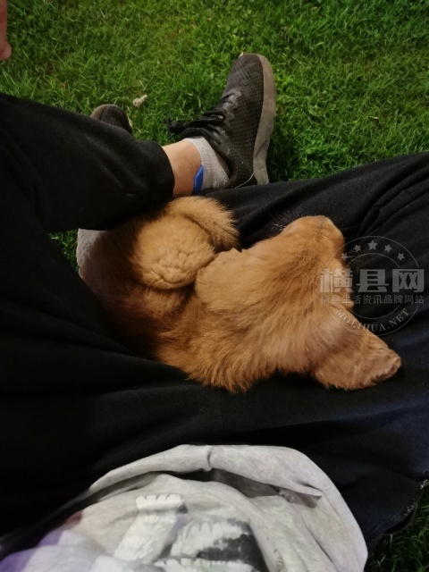 wechat_upload1618018424607100780e624