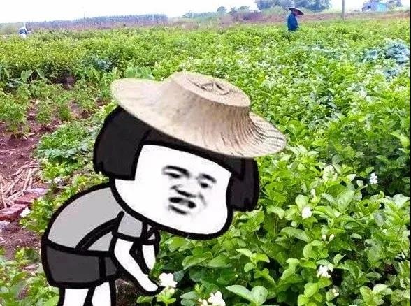 微信图片_20210412085103.jpg