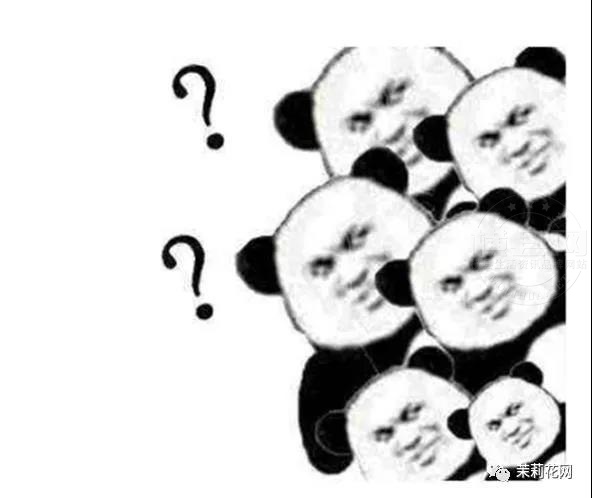 微信图片_20210417083943.jpg