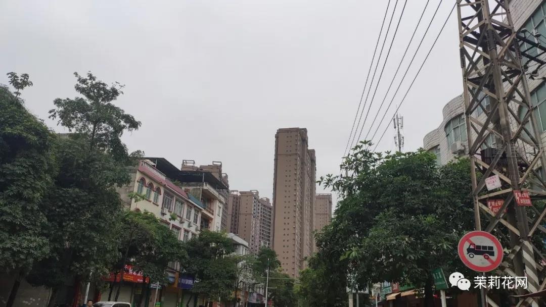 微信图片_20210417184529.jpg
