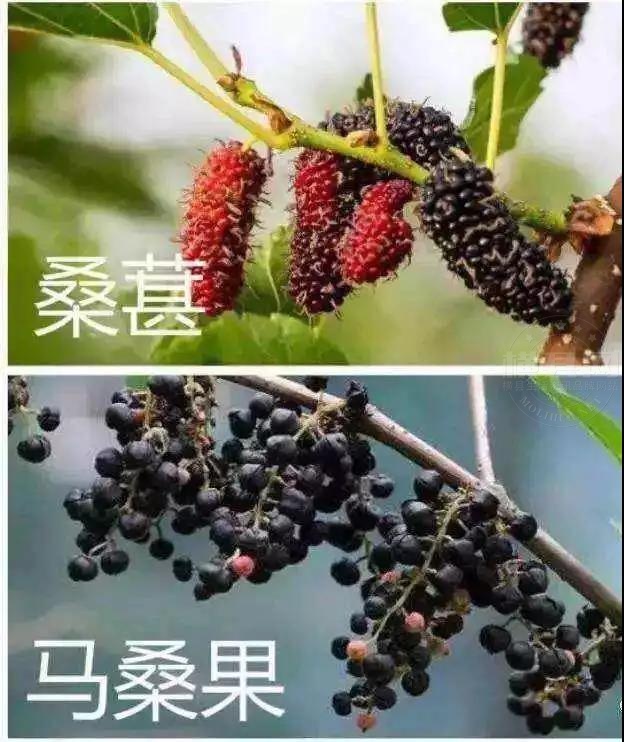 微信图片_20210419091309.jpg