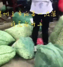 花花.gif