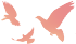 084054cs5mmsf1d2su2zg5.png