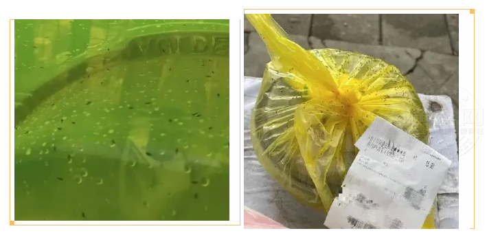 微信图片_20210430084503.png
