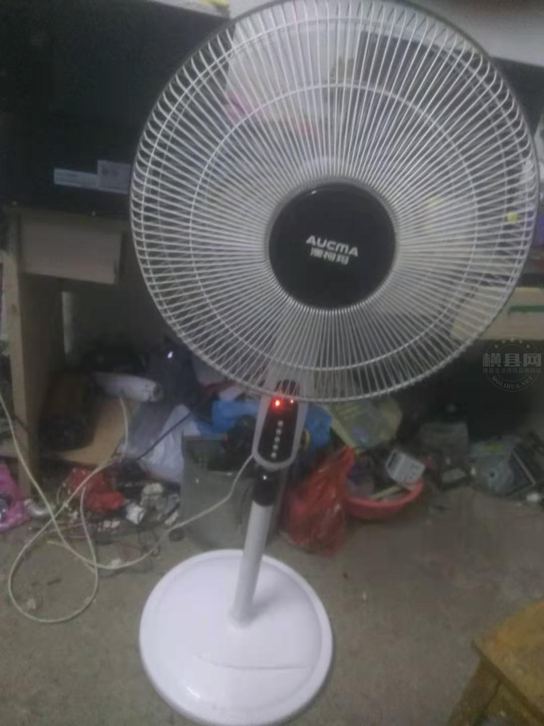 澳柯 玛.jpg