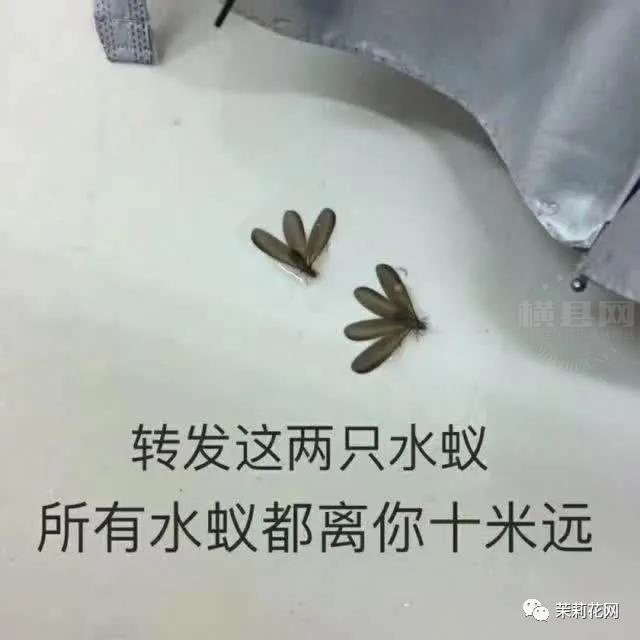微信图片_20210507084640.jpg