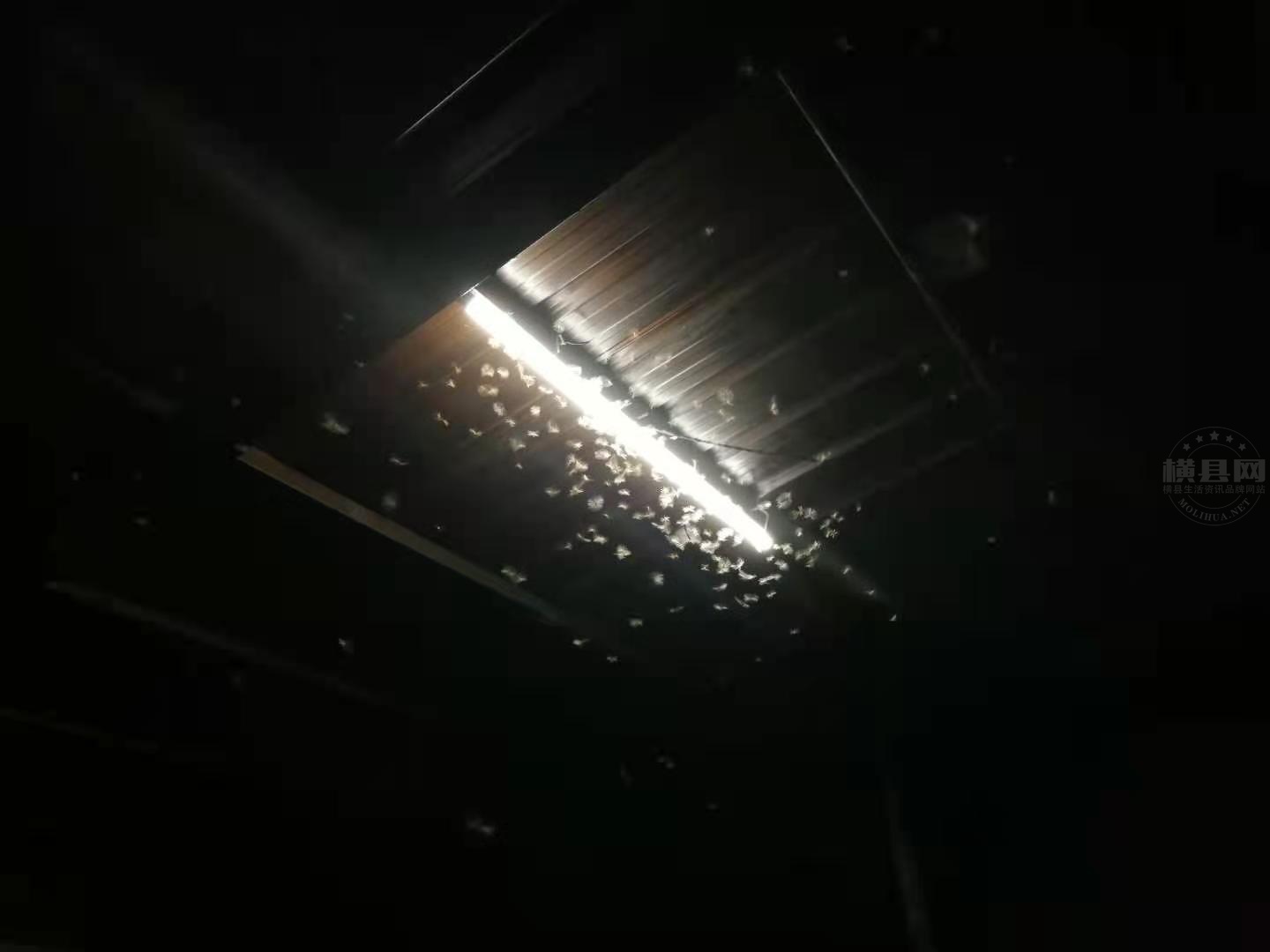 微信图片_20210507084443.jpg
