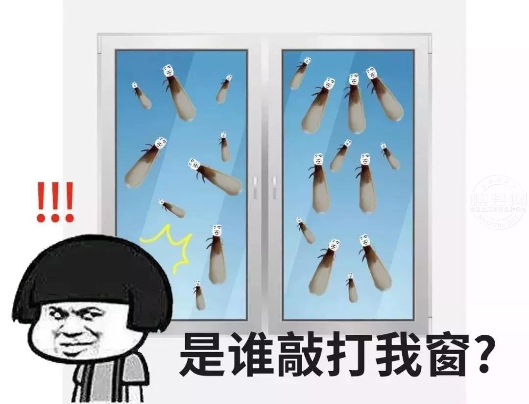 微信图片_20210507084609.jpg