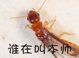 微信图片_20210507084631.jpg
