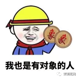 162919lj6f2dozdt2co6my.png
