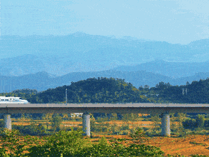 084212bezcdl59cv5y0t1o.gif