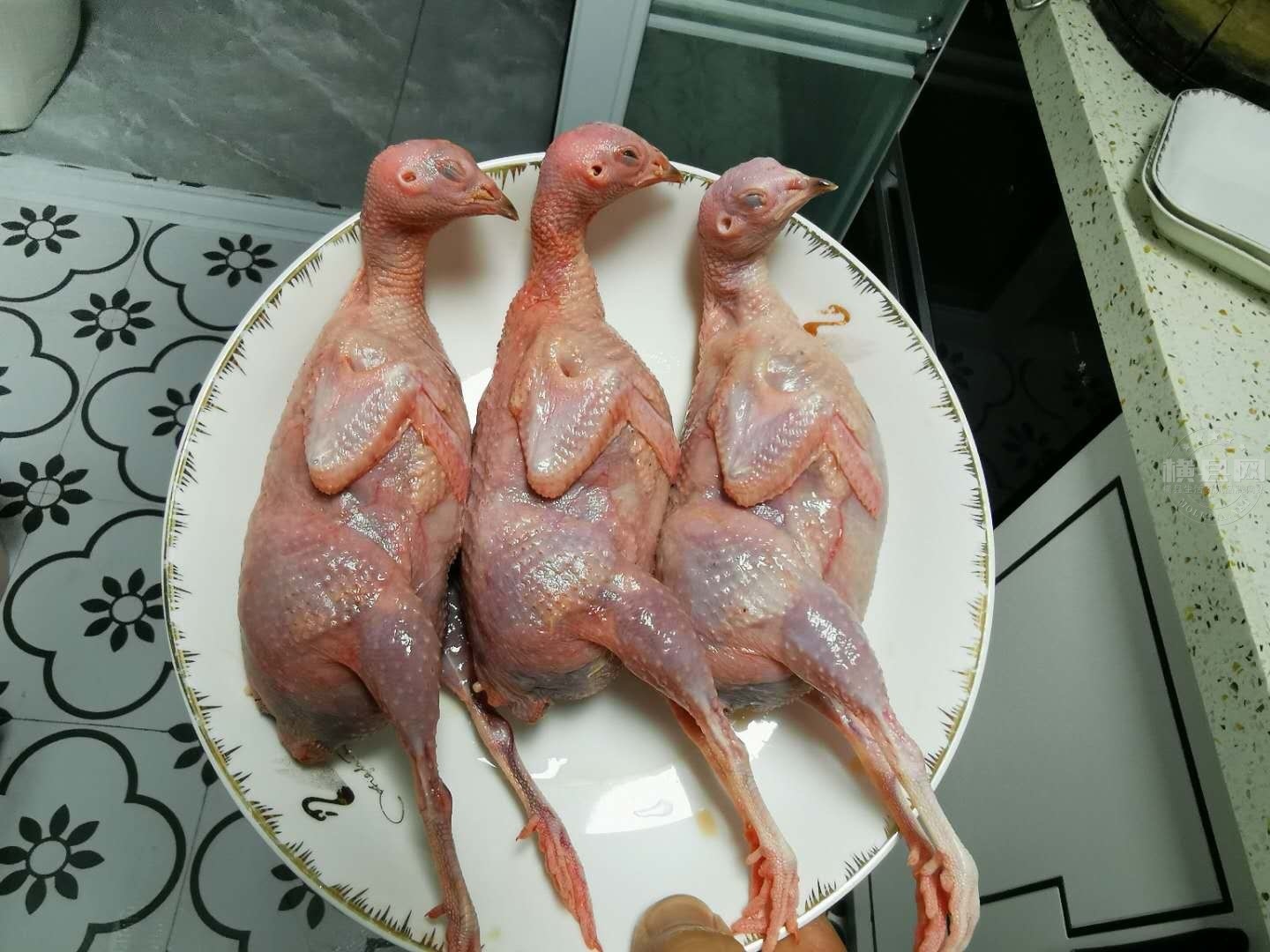 wechat_upload162123027560a202c3d26cc