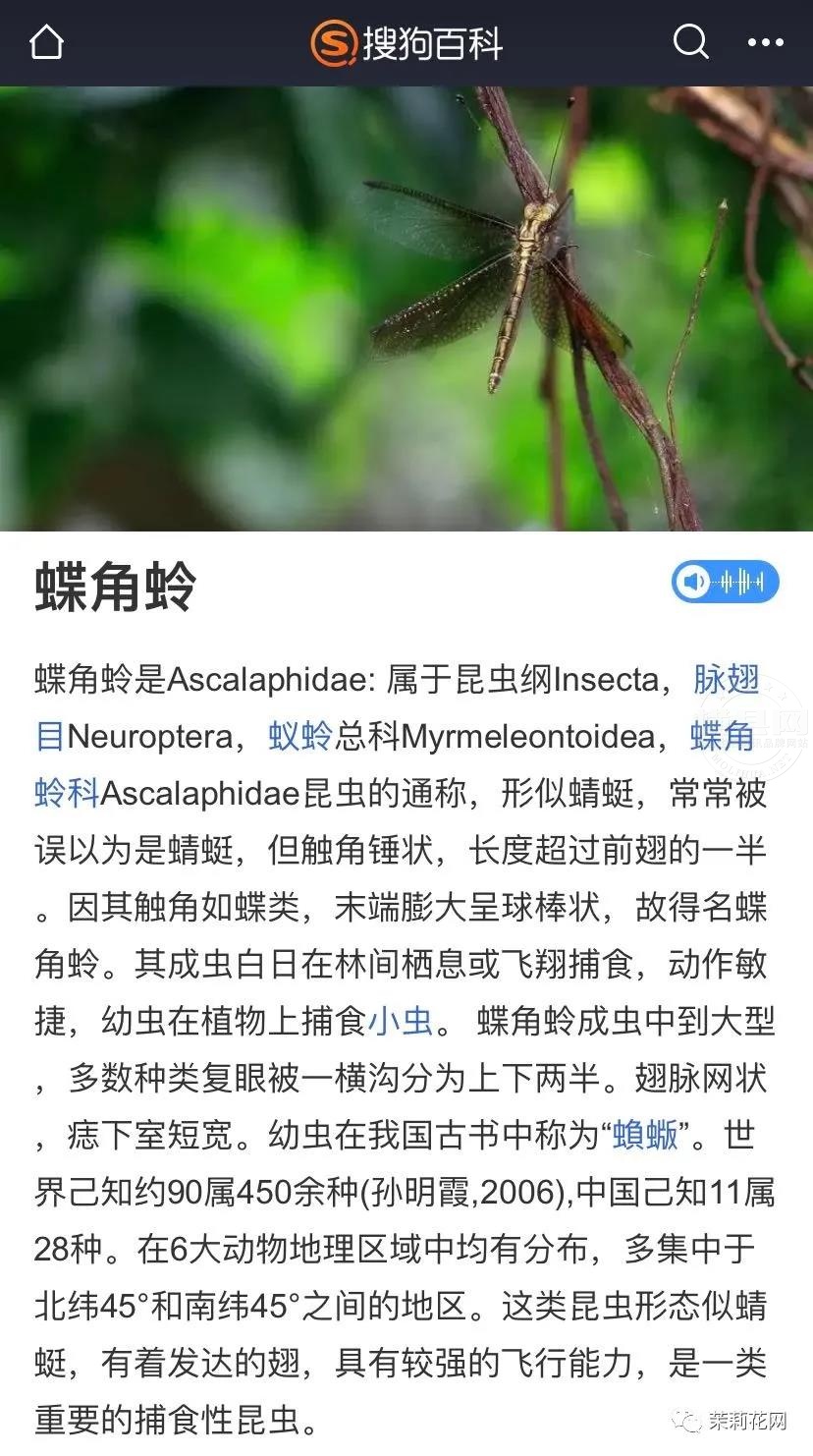 微信图片_20210518085253.jpg