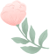 083950wwf3d3oaz8u0zfqd.png