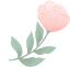 083950slqbeu8veedtt9uu.png