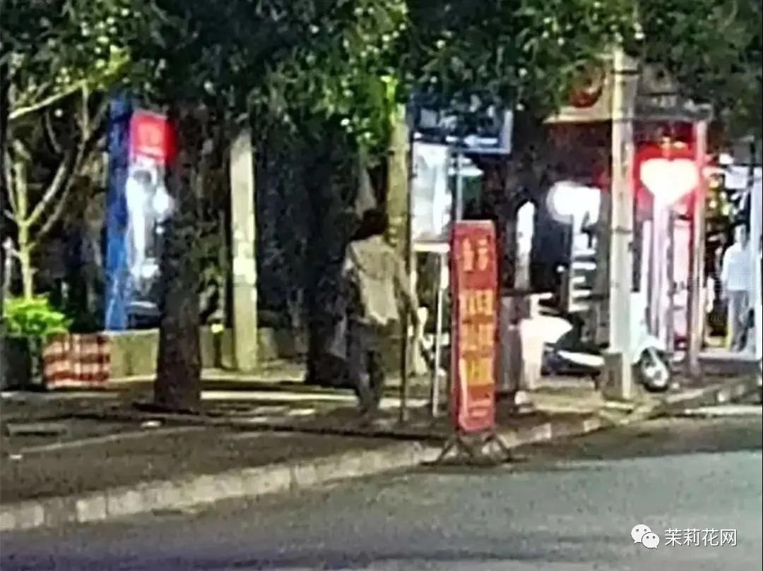 微信图片_20210520085332.jpg