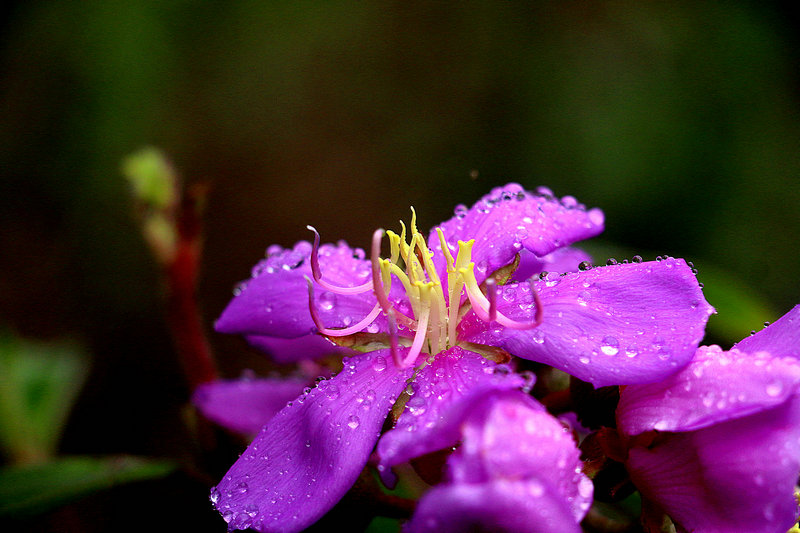 IMG_9781_副本.JPG