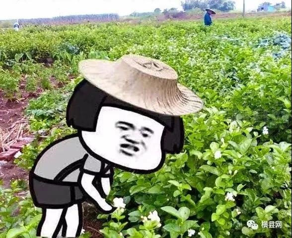微信图片_20210524091530.jpg