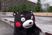 084031gseletoxlz9roln2.gif
