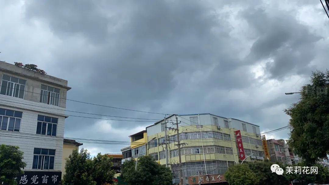 微信图片_20210527084311.jpg