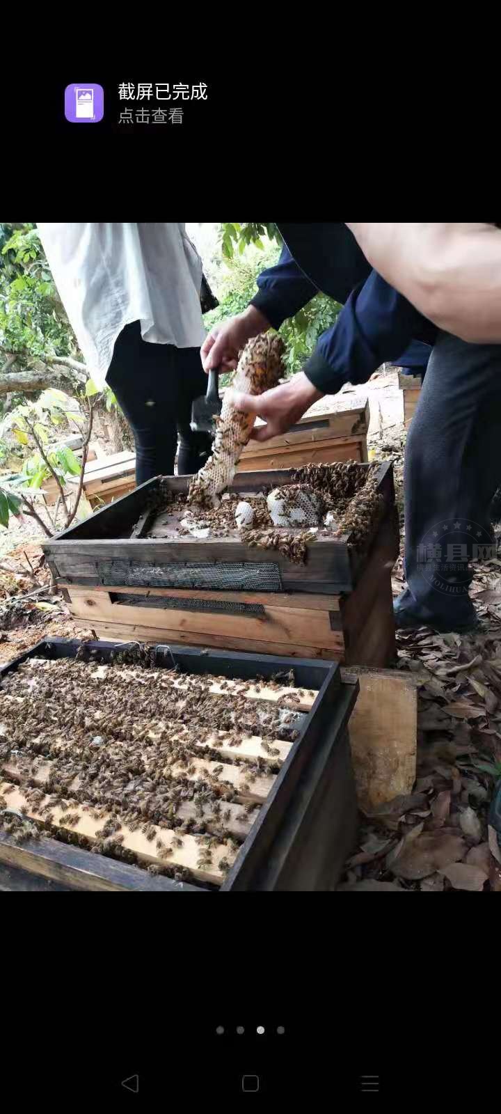 微信图片_2021052714415316.jpg