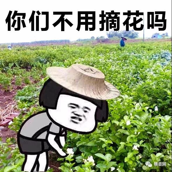 微信图片_20210531091728.jpg
