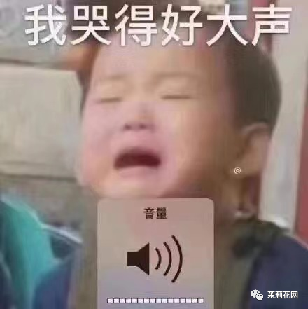 084348doco104a7x7017y4.png