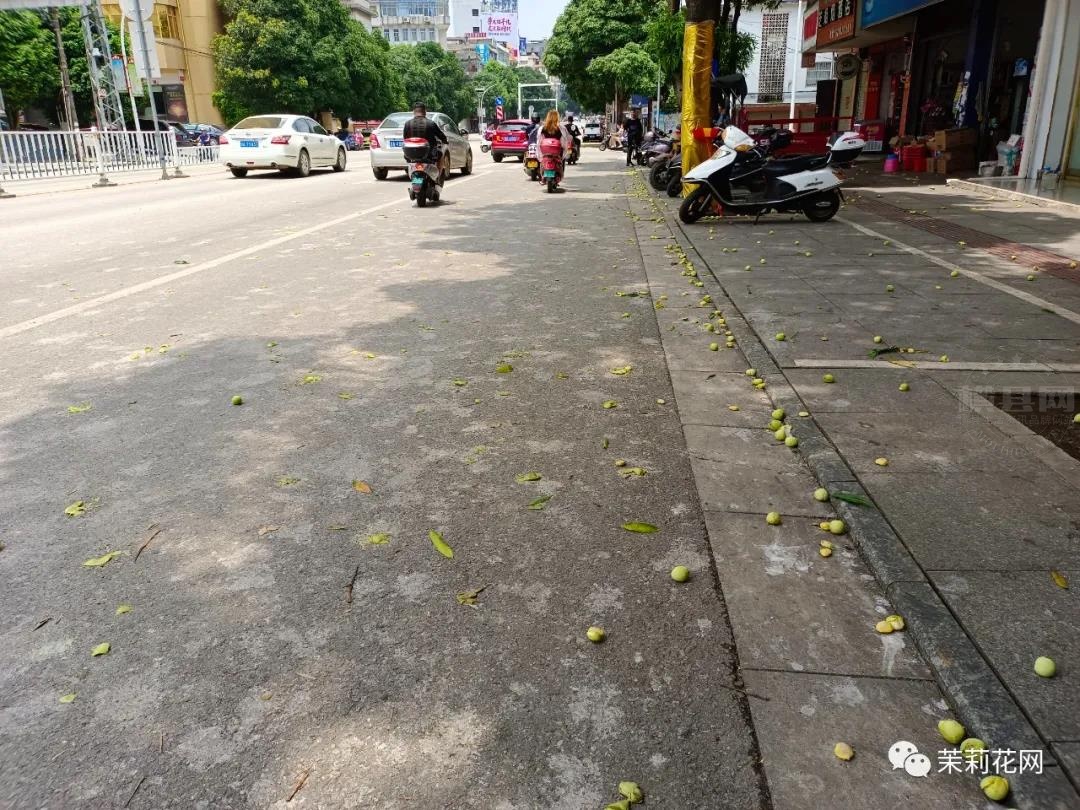 微信图片_20210604084842.jpg