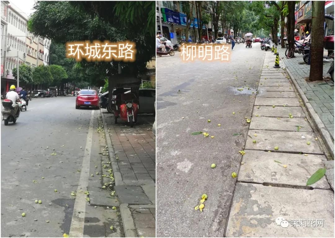微信图片_20210604085450.jpg