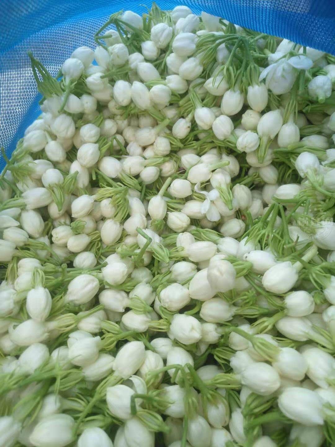 wechat_upload162285480760bacc97c8542