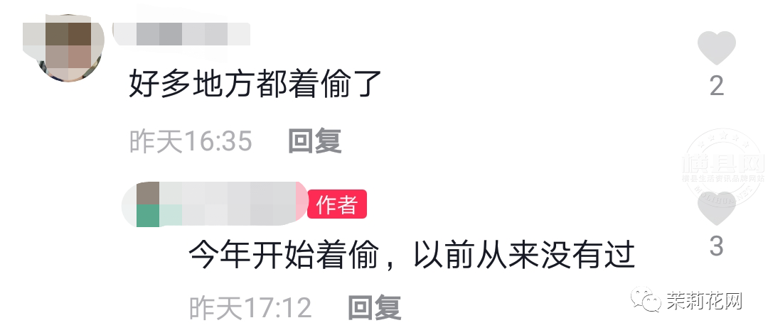 084703qppcbpe45zupqce7.png