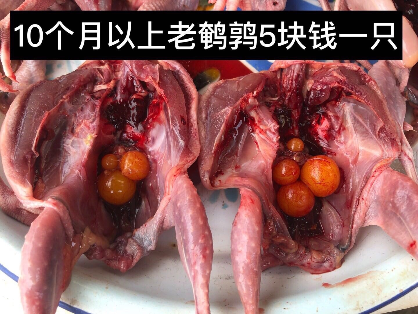 wechat_upload162331600160c1d62137810