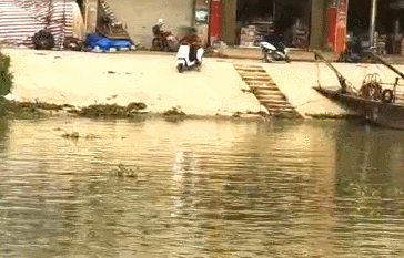 084018angqngignnenovv5.gif