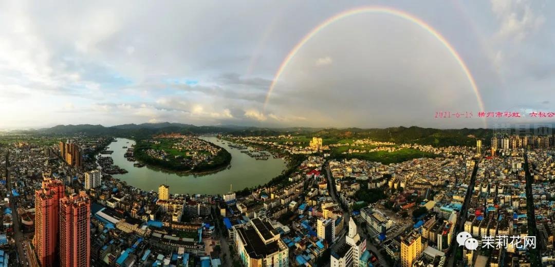 微信图片_20210616084852.jpg