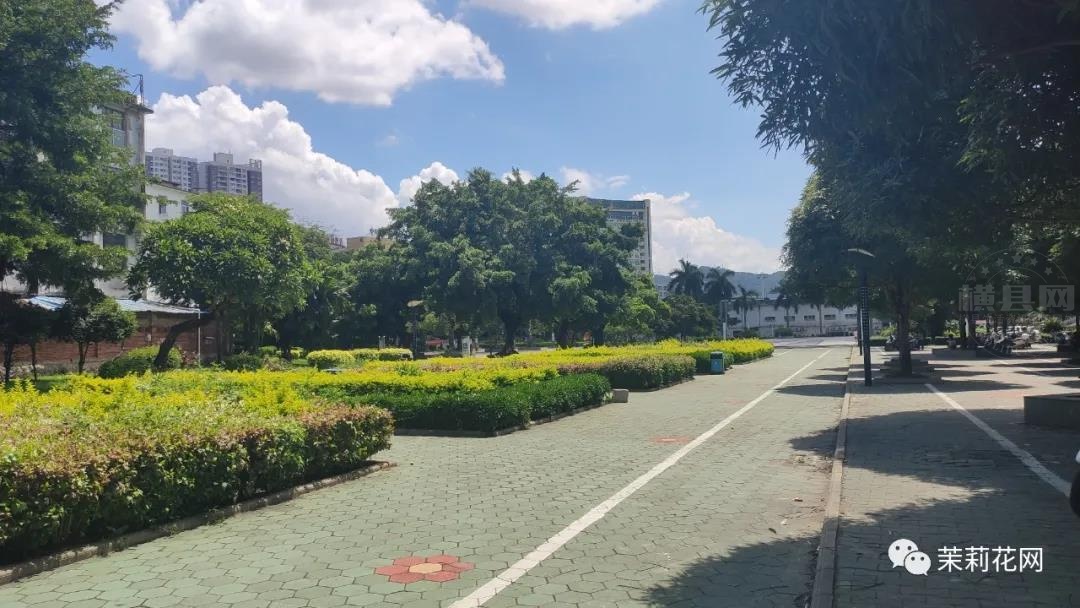 微信图片_20210619090032.jpg