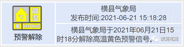085138tdp956x9s21915bb.png