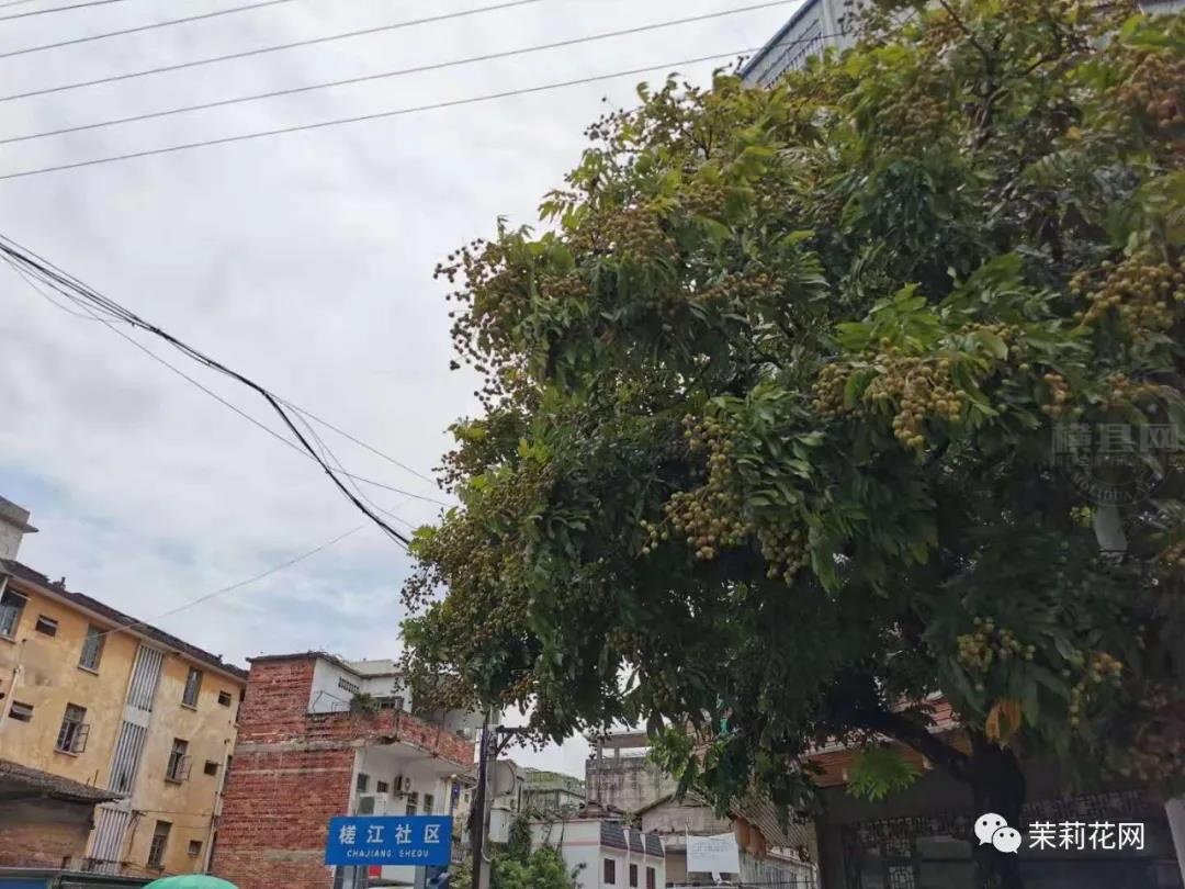 微信图片_20210622085213.jpg