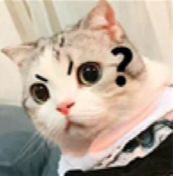 084434hup19qt8ztu93191.png