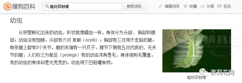 084217j6yhhh6n66i64c66.png