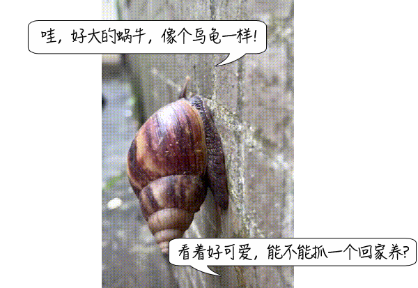 084648e09tttdfvt0lrh5d.gif