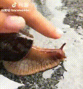 084706qmosx5n9exe80mbm.gif