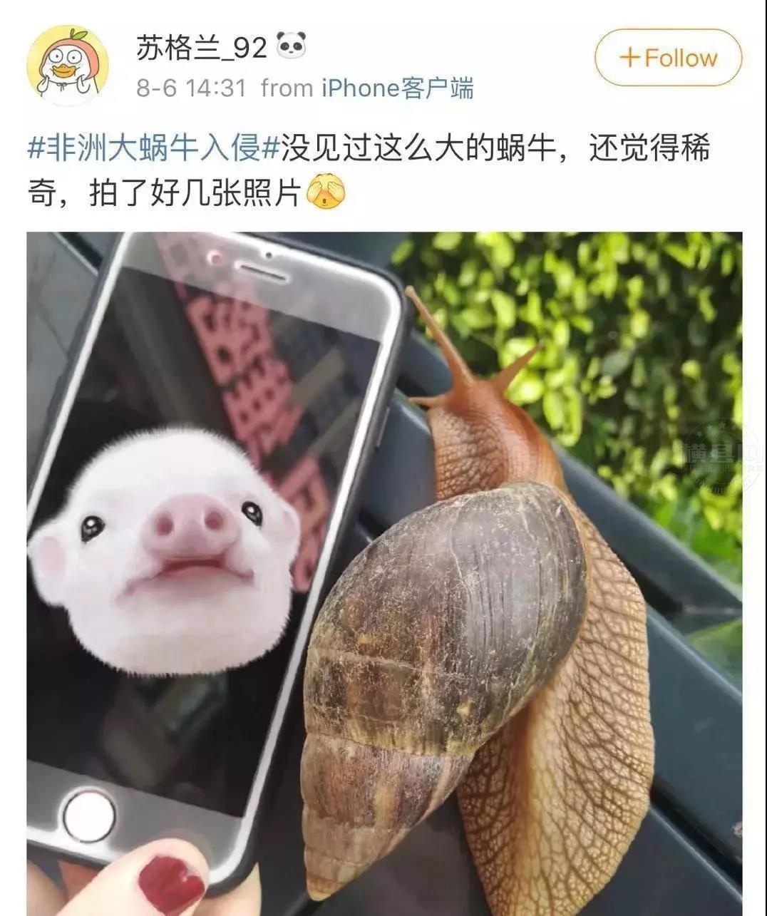微信图片_20210630084901.jpg