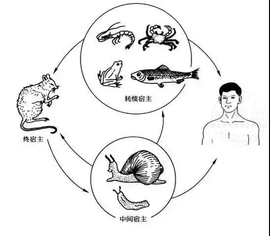 微信图片_20210630084909.jpg